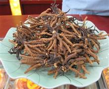 虫草2200条/kg